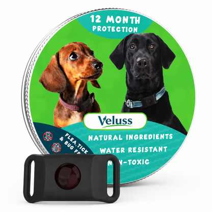 Veluss Natural Dog Collar Pendant