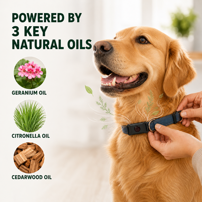Veluss Natural Dog Collar Pendant