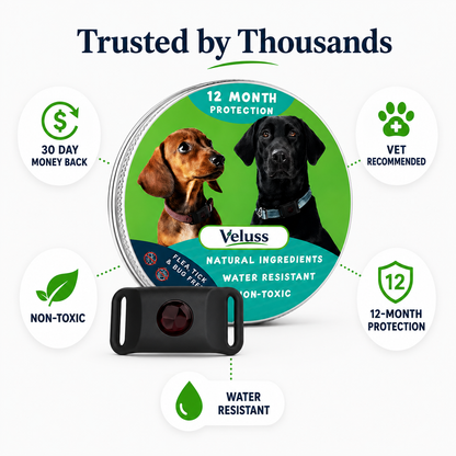 Veluss Natural Dog Collar Pendant